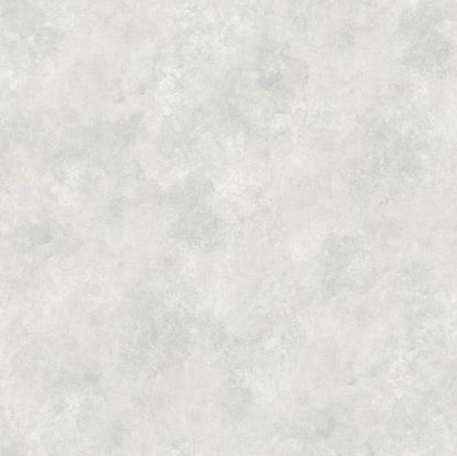 تصویر باربری 46508