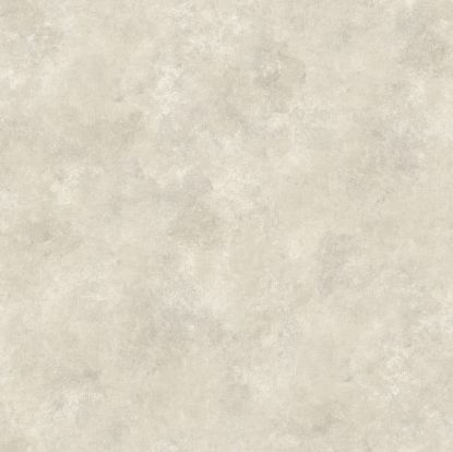 تصویر باربری 46503