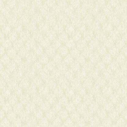 تصویر کاغذدیواری بلک بری کد 37102