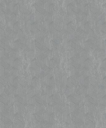 تصویر سالمون بری 45161