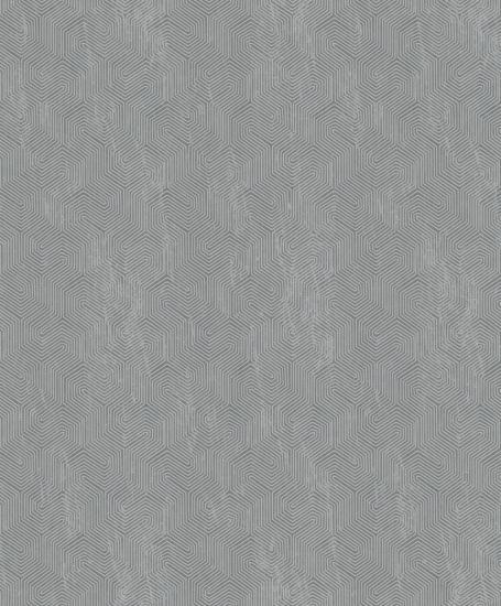 تصویر سالمون بری 45161