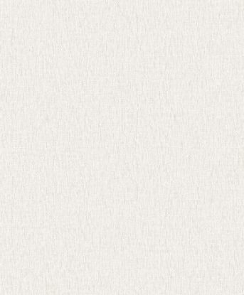 تصویر سالمون بری 45192