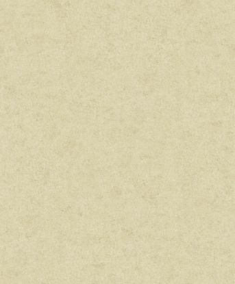 تصویر سالمون بری 45173