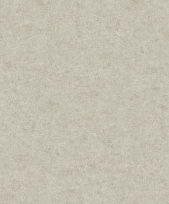 تصویر سالمون بری 45172