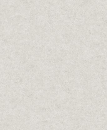 تصویر سالمون بری 45171