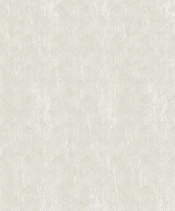 تصویر سالمون بری 45163