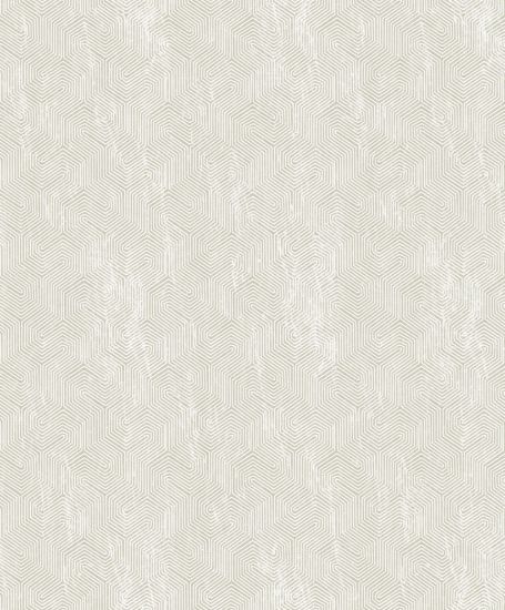 تصویر سالمون بری 45163