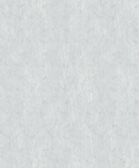 تصویر سالمون بری 45162