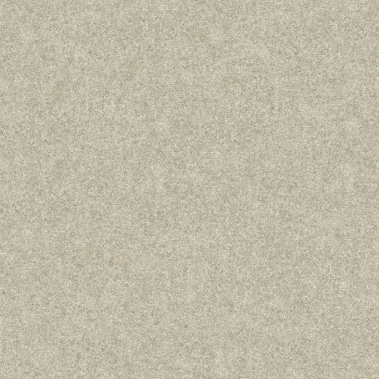 تصویر سالمون بری 45183