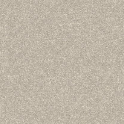 تصویر سالمون بری 45182