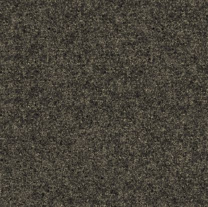 تصویر سالمون بری 45181