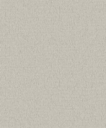 تصویر سالمون بری 45191