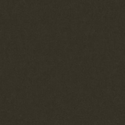 تصویر سالمون بری 45112