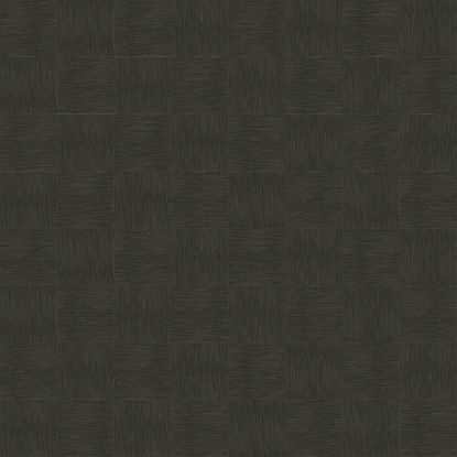 تصویر سالمون بری 45154