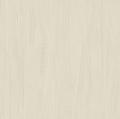 تصویر سالمون بری 45146