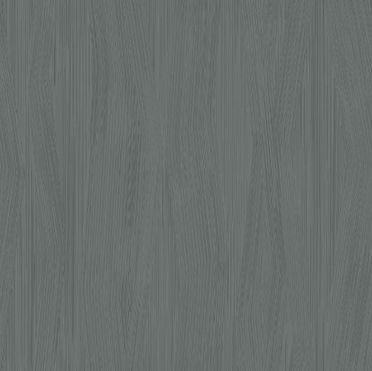 تصویر سالمون بری 45144