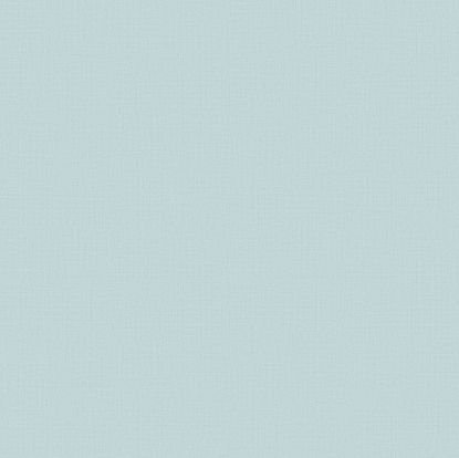 تصویر سالمون بری 45122