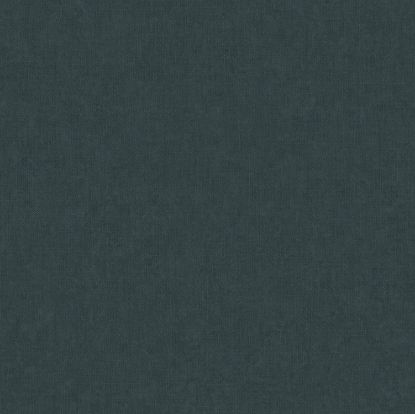 تصویر سالمون بری 45105