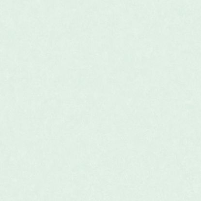 تصویر سالمون بری 45101