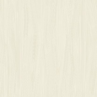 تصویر سالمون بری 45145