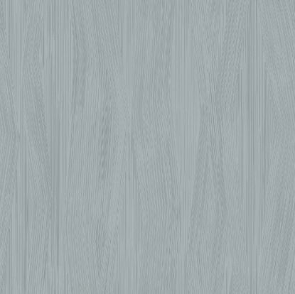 تصویر سالمون بری 45143