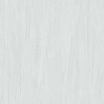 تصویر سالمون بری 45142