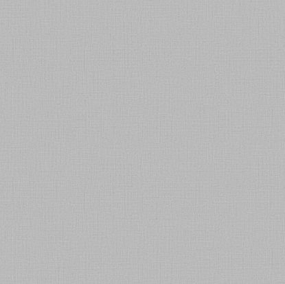 تصویر سالمون بری 45124