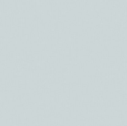 تصویر سالمون بری 45121