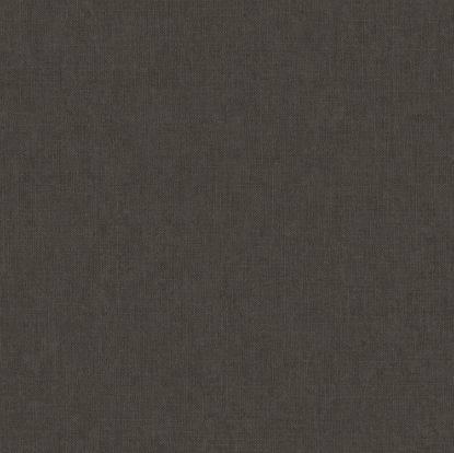 تصویر سالمون بری 45115