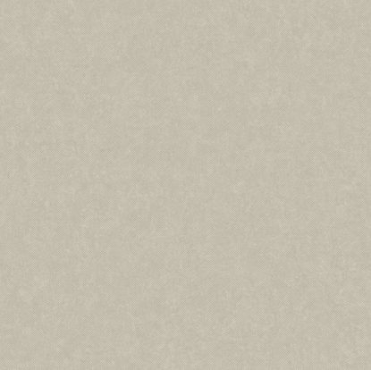 تصویر سالمون بری 45113