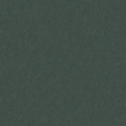 تصویر سالمون بری 45104