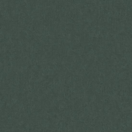 تصویر سالمون بری 45104