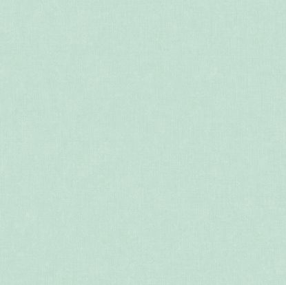 تصویر سالمون بری 45103