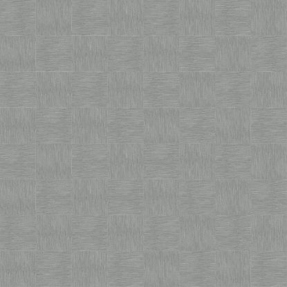 تصویر سالمون بری 45153