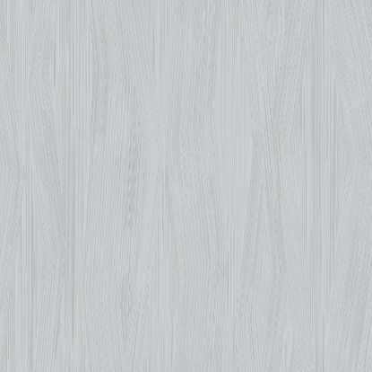 تصویر سالمون بری 45141