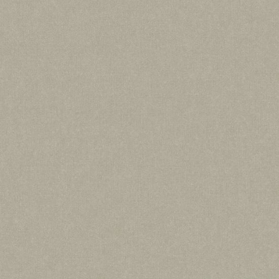 تصویر سالمون بری 45114