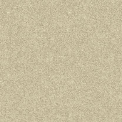 تصویر سالمون بری 45184