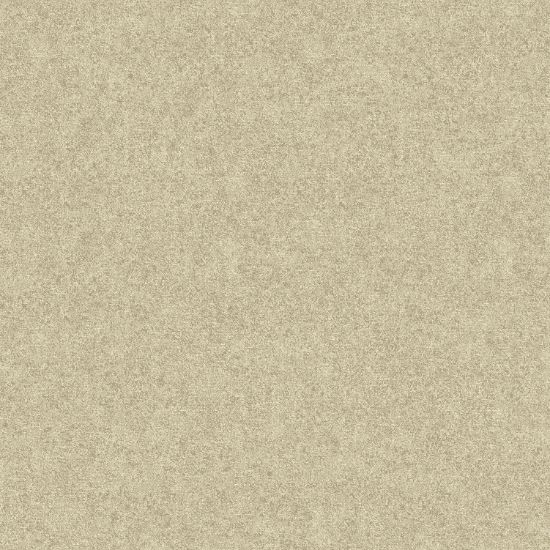 تصویر سالمون بری 45184