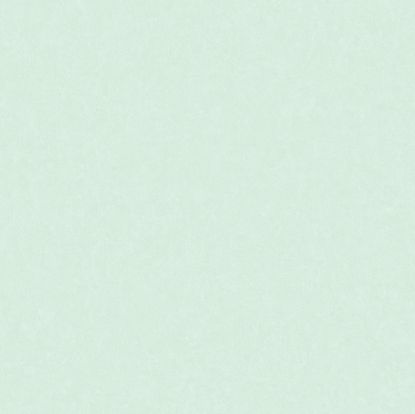 تصویر سالمون بری 45102