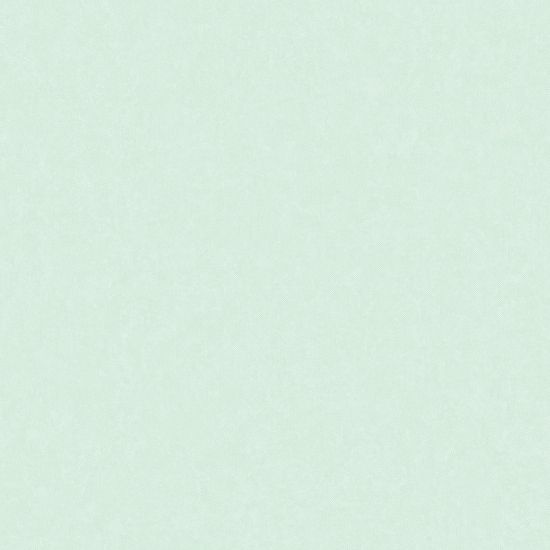 تصویر سالمون بری 45102